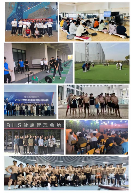 3377体育在线稳定线路
